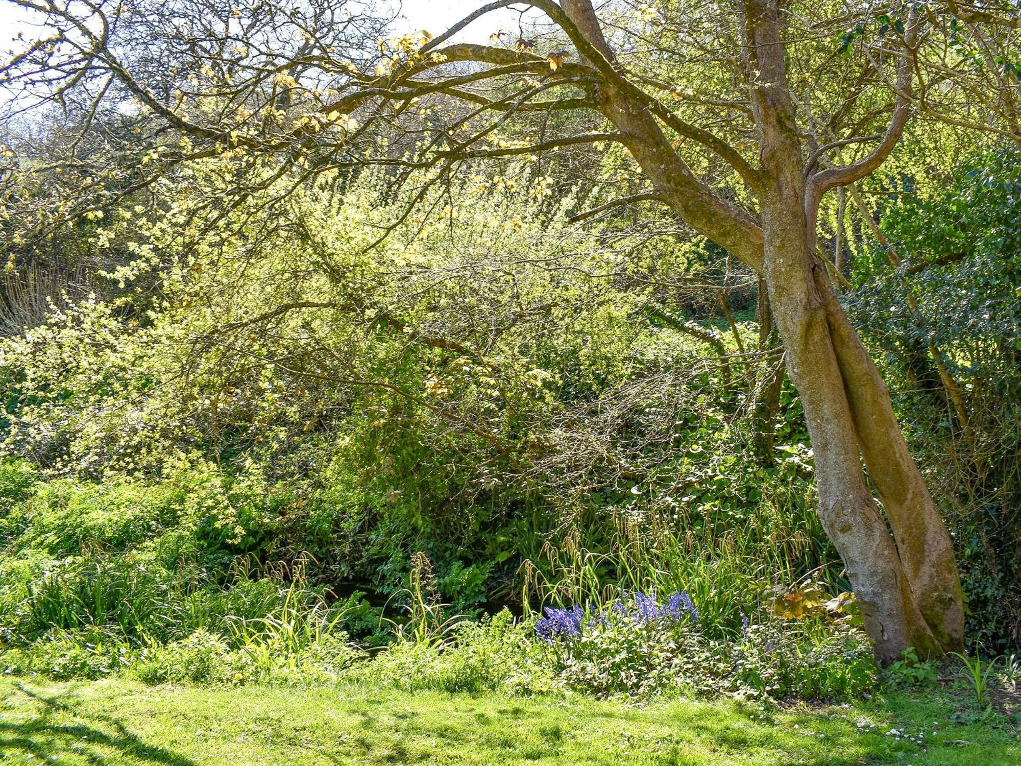 Dreckly Villa Falmouth Bagian luar foto